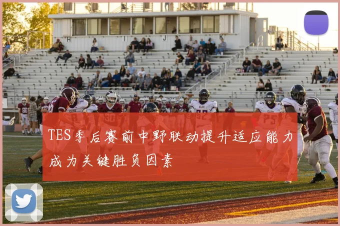 TES季后赛前中野联动提升适应能力成为关键胜负因素