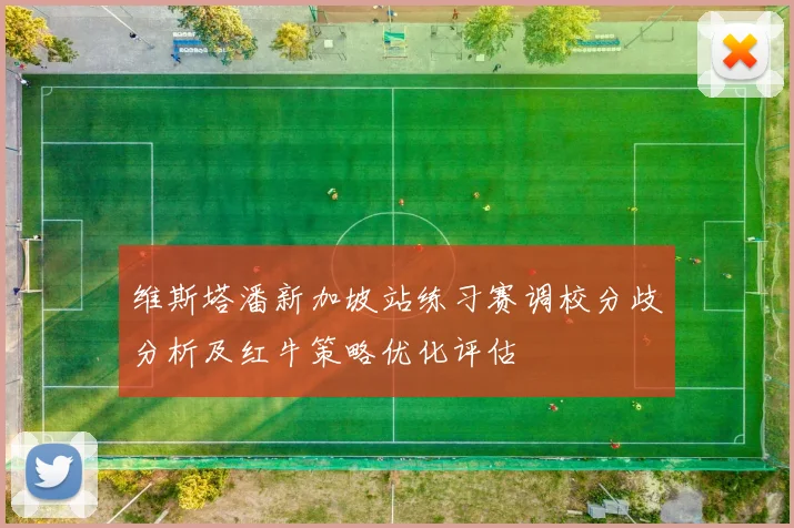 维斯塔潘新加坡站练习赛调校分歧分析及红牛策略优化评估