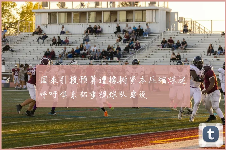 国米引援预算遭橡树资本压缩球迷呼吁俱乐部重视球队建设